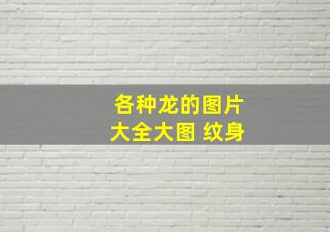 各种龙的图片大全大图 纹身